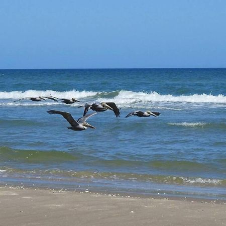 Barefoot Bungalow - Pet Friendly- 2 Bdrm Townhome Corpus Christi Bagian luar foto
